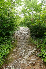 Mount Tanigawa is One of Japan’s famous 100 mountains. Mount Tanigawa, Tanigawadake is a craggy, rugged mountain found on the border of Gunma and Niigata prefectures in northern Minakami.