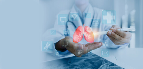 Doctor holding lungs in hands, Human organ and Healthcare concept.