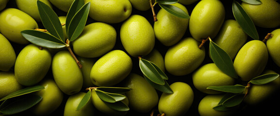 Olive, Best Website Background, Hd Background, Background For Computers Wallpaper