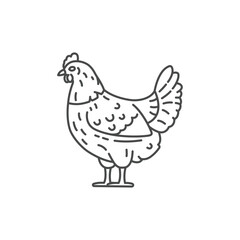 Farm animal hen line icon design. Chicken illustration. Domestic animal icon vector editable stroke. Hen line icon.