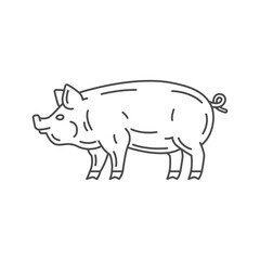 Farm animal pig line icon design. Pig illustration. Domestic animal icon vector editable stroke. Pig line icon.