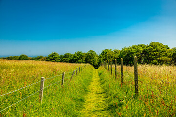 Fototapeta na wymiar Wunderschöne Entdeckungstour durch die einzigartige Landschaft der Normandie - Saint-Pierre-en-Port - Frankreich