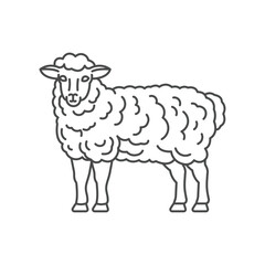 Farm animal Sheep line icon design. Sheep illustration. Domestic animal icon vector editable stroke. Sheep line icon.