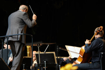 Leading the orchestra in a symphony. Shot of a conductor and musicians during an orchestral concert.