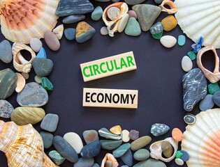 Circular economy symbol. Concept words Circular economy on beautiful wooden block. Beautiful black...