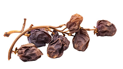 Fresh organic dry grape fruits transparent background. fresh fruits png
