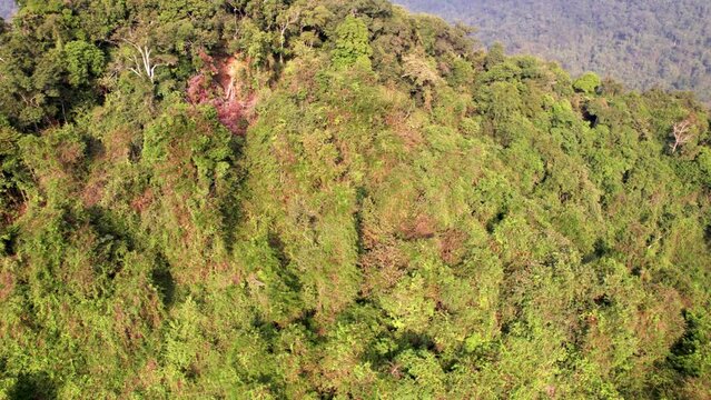 Vue a&eacute;rienne du parc forestier et montagneux naturel &agrave; Ninh Binh au Vietnam, for&ecirc;t tropicale verdoyante et paysage karstique avec rizi&egrave;res et fleuve, tourisme &eacute;cologique et culturel dans la baie d&rsquo;Hal