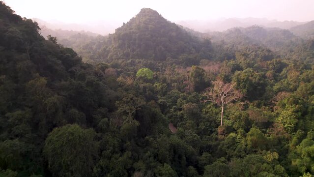 Vue a&eacute;rienne du parc forestier et montagneux naturel &agrave; Ninh Binh au Vietnam, for&ecirc;t tropicale verdoyante et paysage karstique avec rizi&egrave;res et fleuve, tourisme &eacute;cologique et culturel dans la baie d&rsquo;Hal