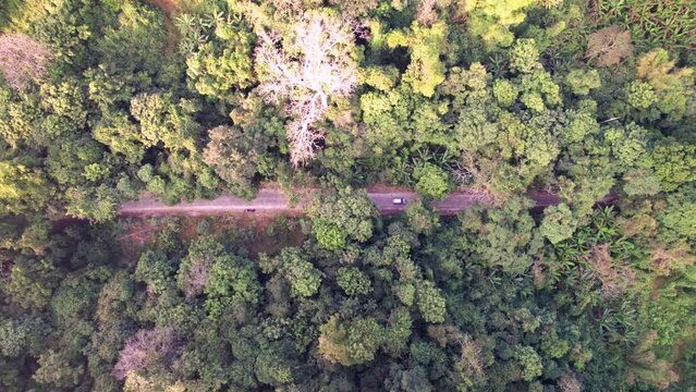 Vue a&eacute;rienne du parc forestier et montagneux naturel &agrave; Ninh Binh au Vietnam, for&ecirc;t tropicale verdoyante et paysage karstique avec rizi&egrave;res et fleuve, tourisme &eacute;cologique et culturel dans la baie d&rsquo;Hal