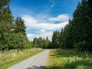 Fototapeta na wymiar Rund im Wald Bernloch. Bondorf im Korngäu. Landkreis Böblingen. Erholungseffekt einer entspannten Naturbegehung - Nonnenweg
