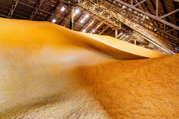 View inside a large corn and grain storage warehouse.