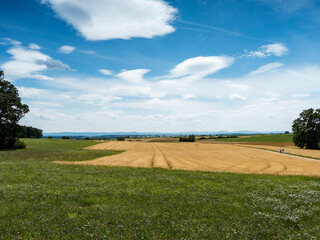 Typisches Landschaftsbild im Gäu, Rund um Bondorf und Bernloch Wald. Agrarlandschaften umgeben von...