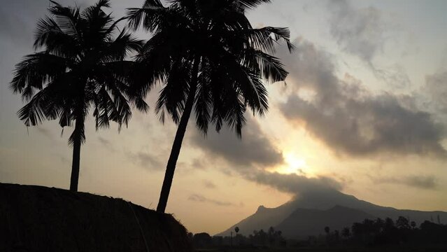 Arunachala hill during sunrise with two palm trees on the foreground