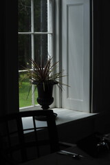 Window sill on old home with plant
