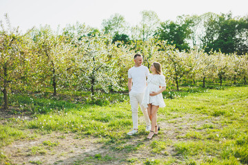 A young happy couple in anticipation of pregnancy walks through a blooming garden. Couple in love in blossoming apple trees.