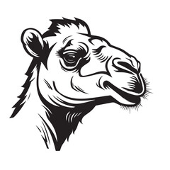 Camal in cartoon, doodle style. 2d cut illustration in icon, logo style. Black and white