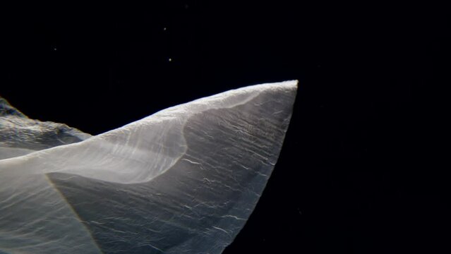 white fabric swaying in water, closeup slow motion underwater shot, mysteriousness and secret