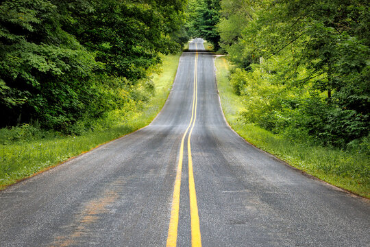 Spring Lake Road