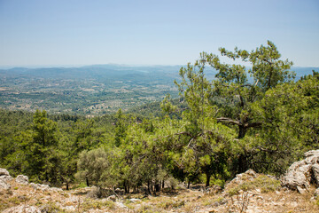 Fototapeta na wymiar View from mountain Profitis Ilias to down below Gadoura Dam, pine forests and olive groves. Shot in June 2023 island of Rhodes in Greece, Europe. Before the wildfire.