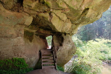 Wooden Steps to Hidden Forest Cave