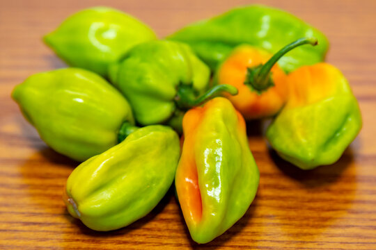 Group of hot pepper (Capsicum chinense Adjuma) in selective focus and fine detail "pimenta de cheiro"