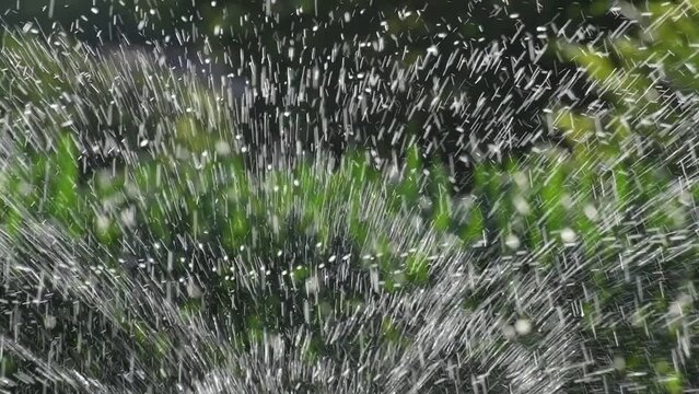 Circular sprinkler for watering the garden in operation