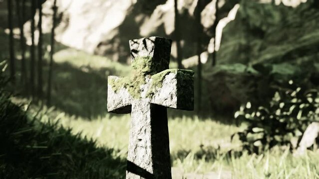 time-worn cross marking a sacred spot in the rainforest