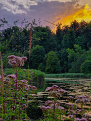 sunset in the mountains