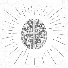 Vector concept of cerebral convolutions - brain icon - right and left hemisphere of the brain
