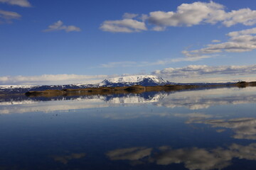Mývatn is a shallow lake located in an area of active volcanism in northern Iceland, near the...