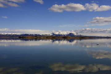 Mývatn is a shallow lake located in an area of active volcanism in northern Iceland, near the...