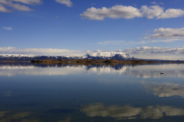 Fototapeta na wymiar Mývatn is a shallow lake located in an area of active volcanism in northern Iceland, near the Krafla volcano