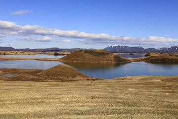 Mývatn is a shallow lake located in an area of active volcanism in northern Iceland, near the...