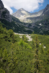 The aerial view from cableway of mountain waterfall Skok with Strbsky peak in the background, National Park High Tatras, Slovakia © ventura