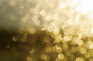 Natural autumn bokeh