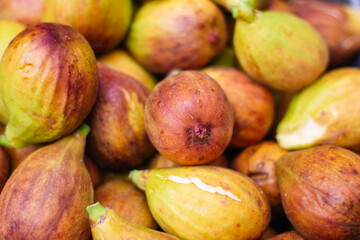 Organically Grown Backyard Eco Figs