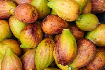 Organically Grown Backyard Eco Figs