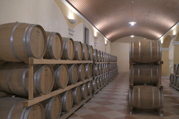 wine barrels in cellar