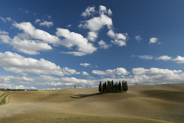 Tuscany view 
