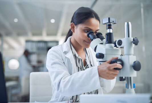 Science, microscope and innovation with a woman in a laboratory for medical research or experiment. Healthcare, medicine and a young indian engineer working in a lab for pharmaceutical development