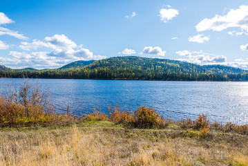 Larches Over Lakes