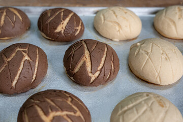 Conchas mexicanas de chocolate y vainilla reci?n hechas sobre la bandeja del horno