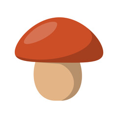 Mushroom Illustration Vector