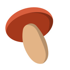 Mushroom Illustration Vector