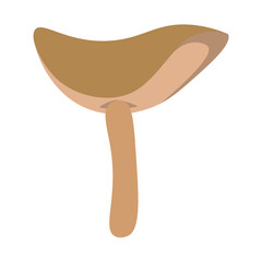 Mushroom Illustration Vector