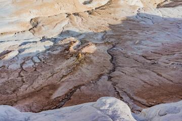 The slope of Mount Bokty from limestone and chalk deposits in the Kazakh steppe, the relief of the hillside, ditches and gullies washed out by water