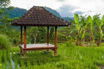 Pavillon auf Bali mit Reisfeldern im Hintergrund