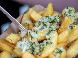 Golden Garlic Fries with Creamy Garlic Sauce and Fresh Herbs: A Tantalizing Treat