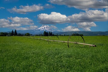 A green hay field with irrigation sprinklers, hood River Oregon