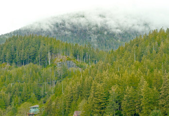 Ketchikan Mountains Rising from Fog